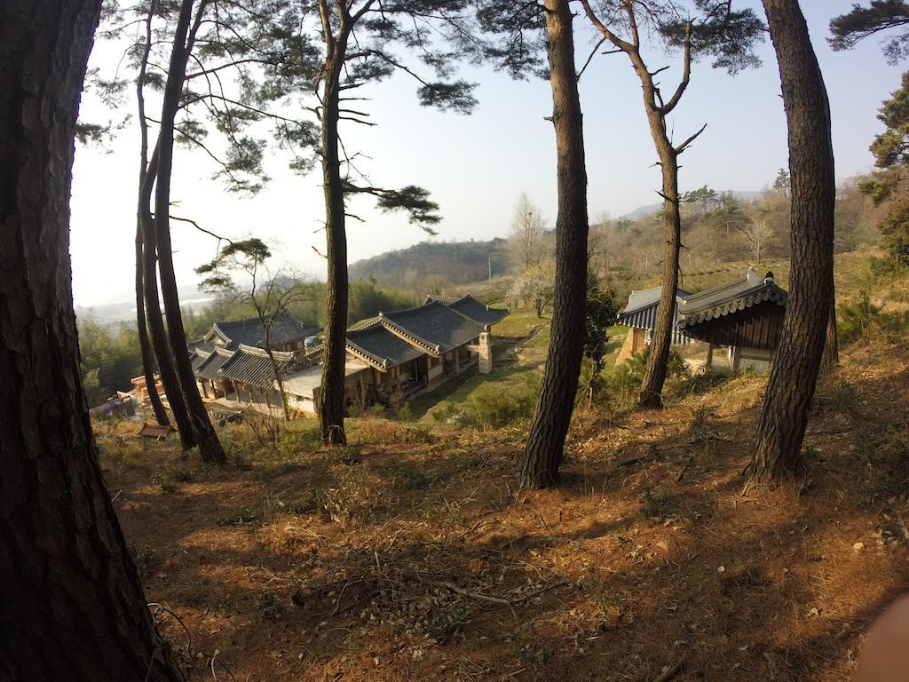 Korean Traditional House - Chungnokdang Hotel Poszong Kültér fotó