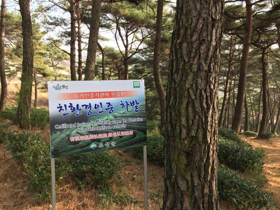 Korean Traditional House - Chungnokdang Hotel Poszong Kültér fotó