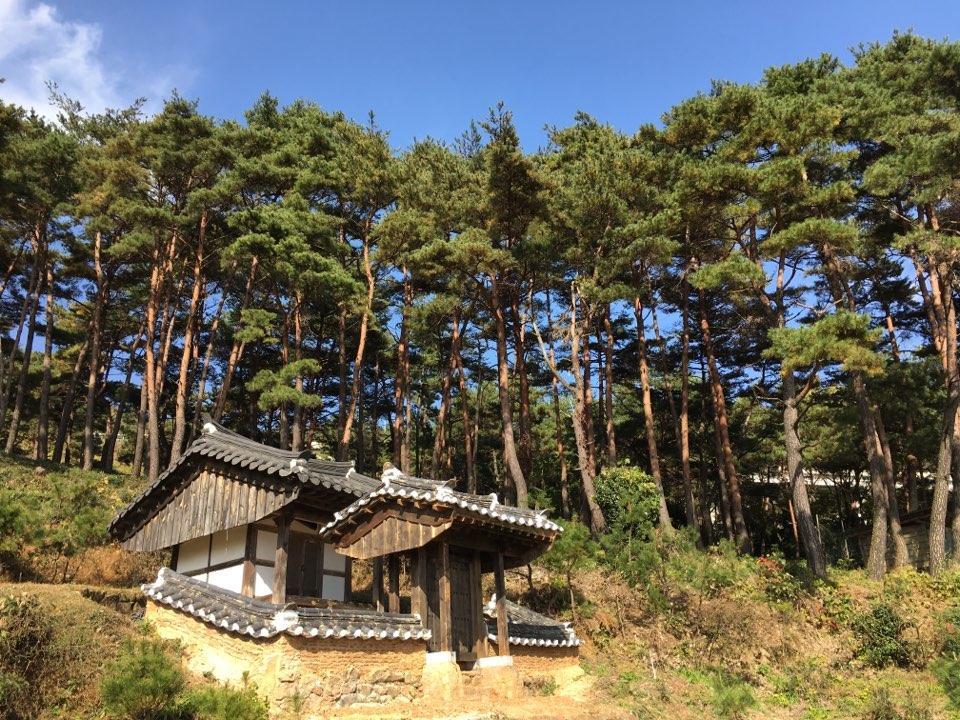 Korean Traditional House - Chungnokdang Hotel Poszong Kültér fotó