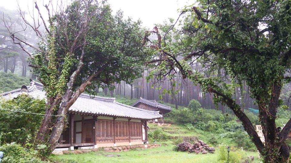 Korean Traditional House - Chungnokdang Hotel Poszong Kültér fotó
